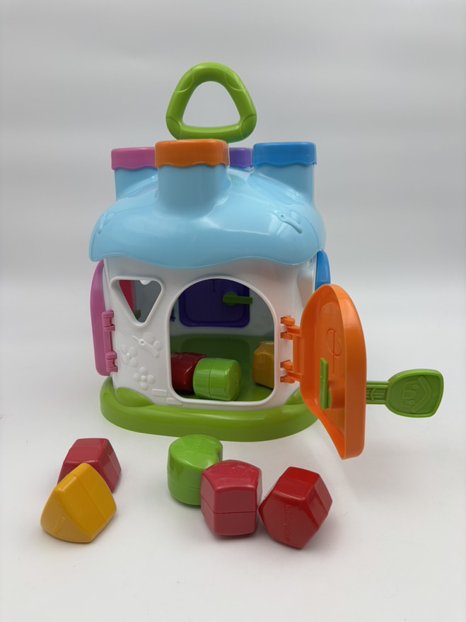 کلبه هوش قارچی