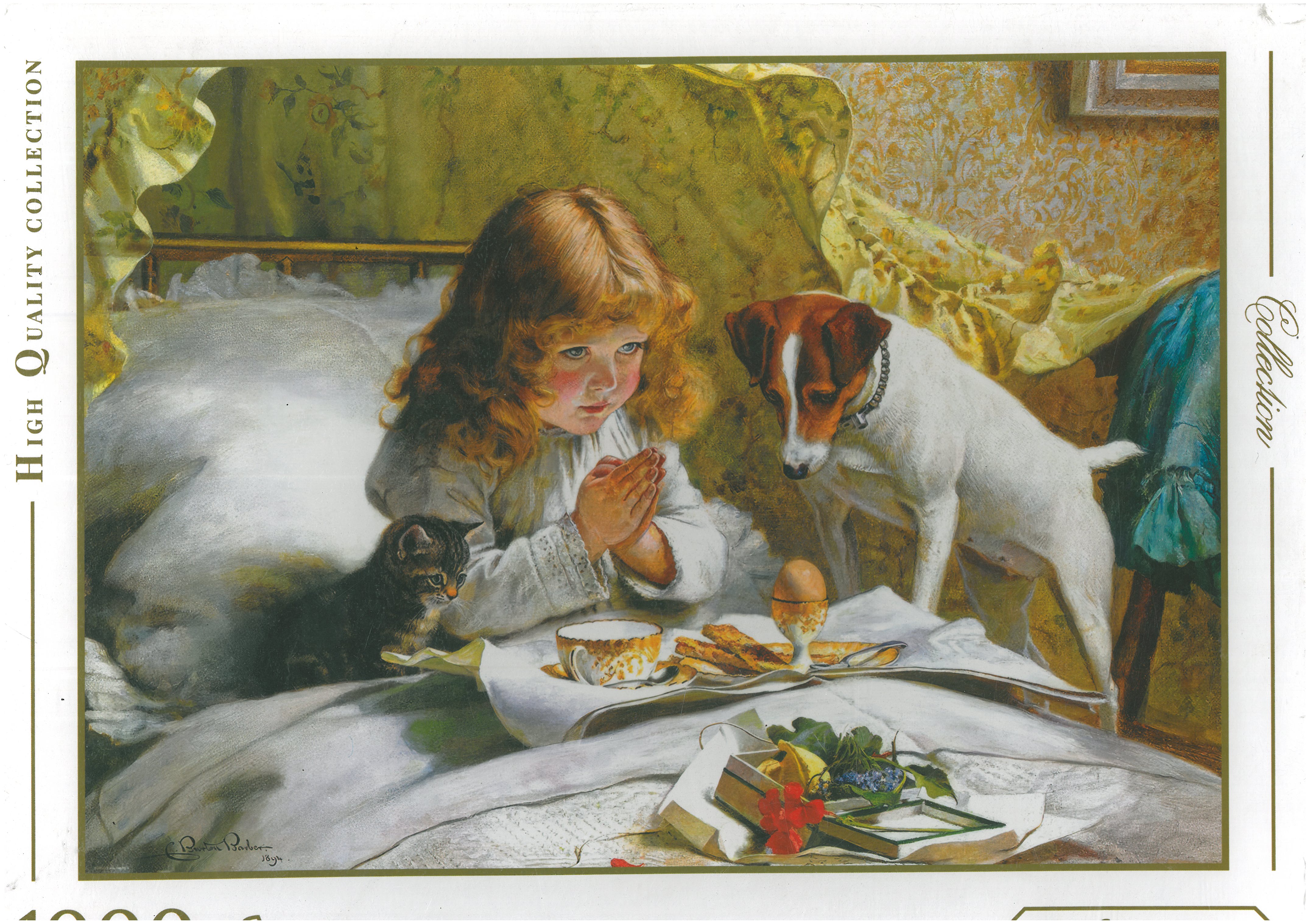 پازل ربکا 1000 قطعه طرح تعلیق (اظطراب انتظار)