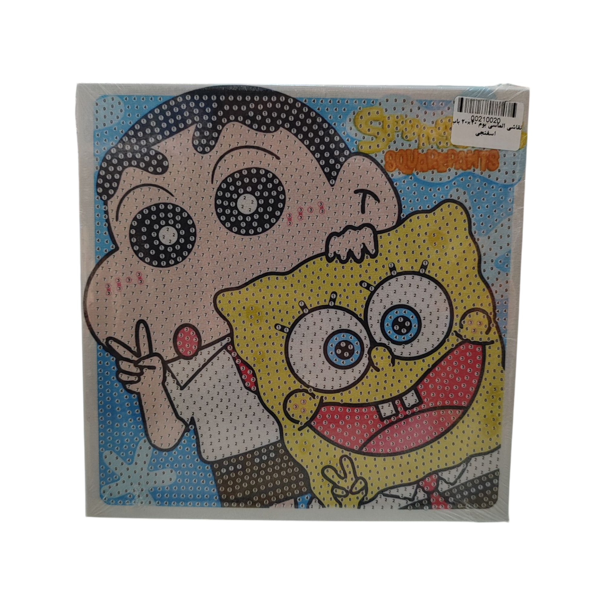 نقاشی الماسی بوم 20*20 باب اسفنجی