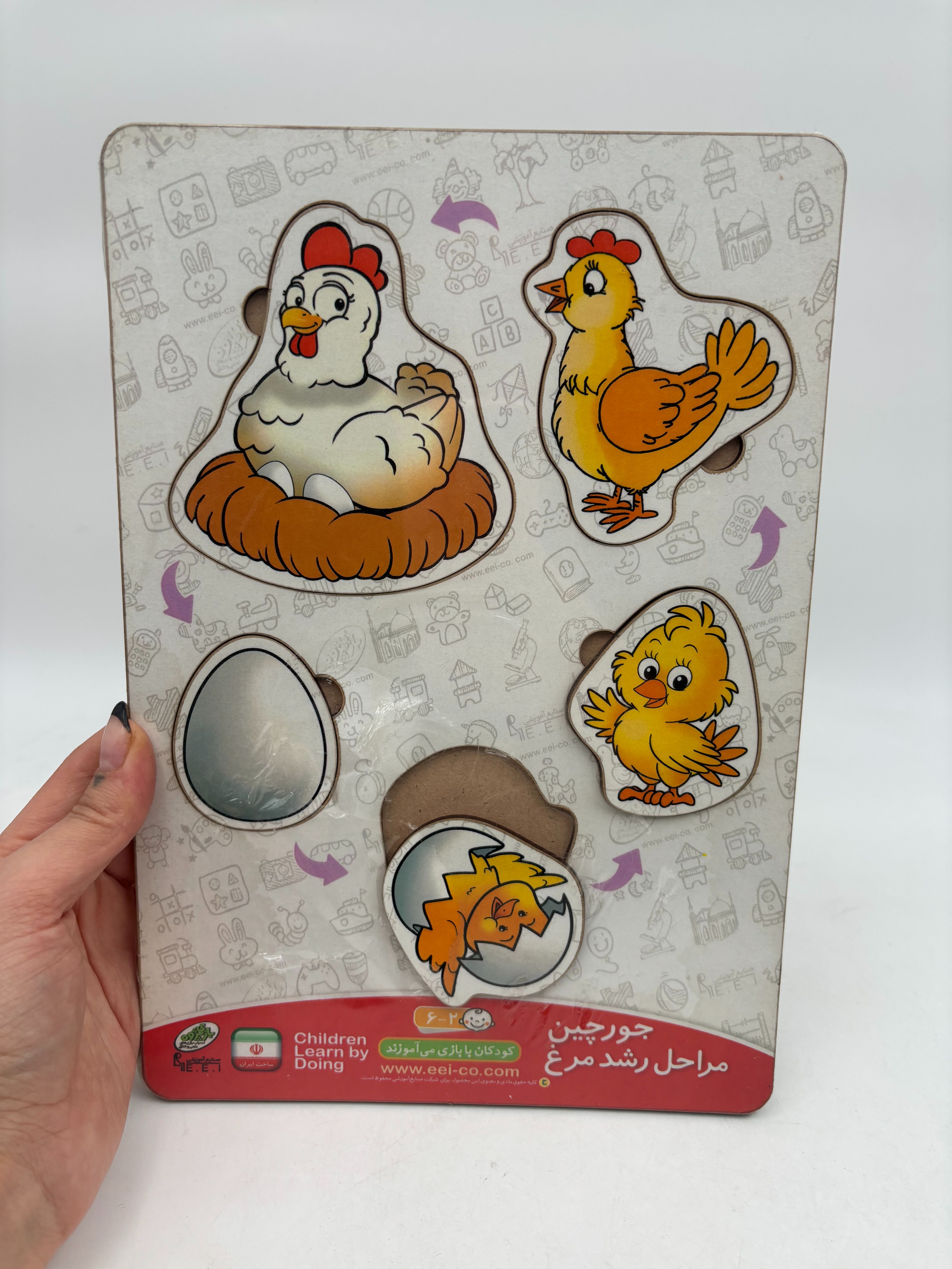 جورچین مراحل رشد جوجه و انسان