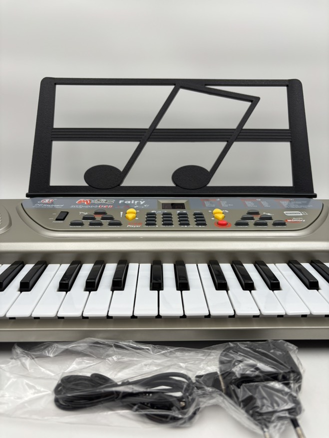 ارگ بزرگ یواس بی خور 806