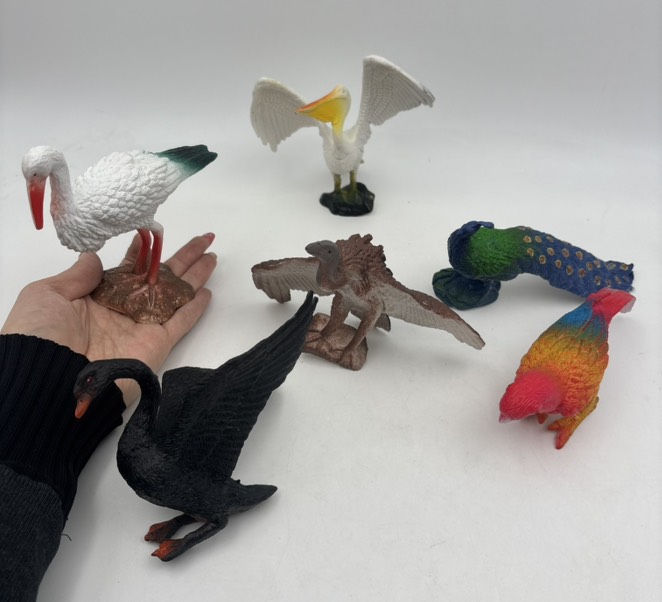 ست باغ وحش پرندگان 6عددی کد 908/6