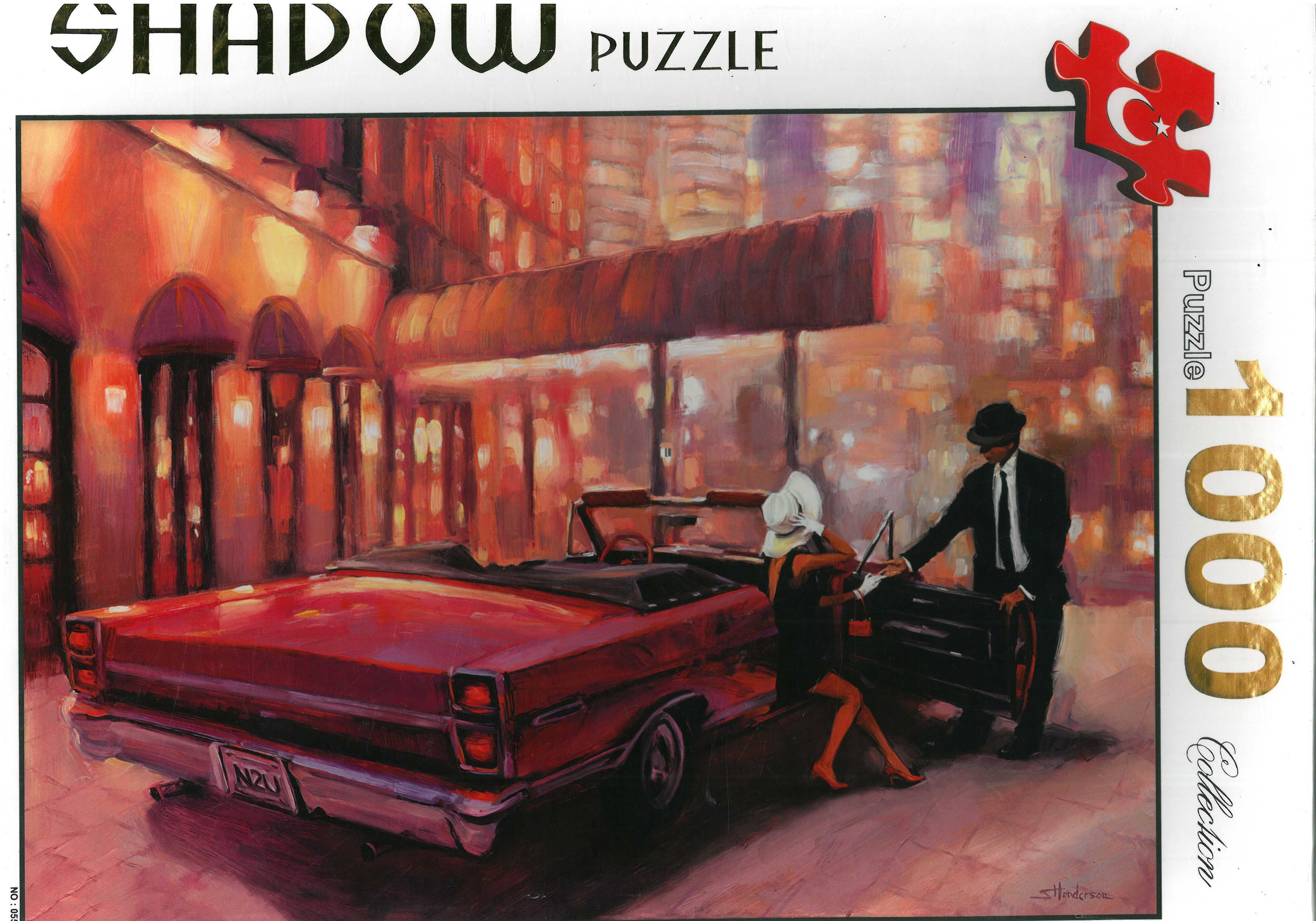 پازل شادوو 1000 قطعه طرح زوج ها در ماشین