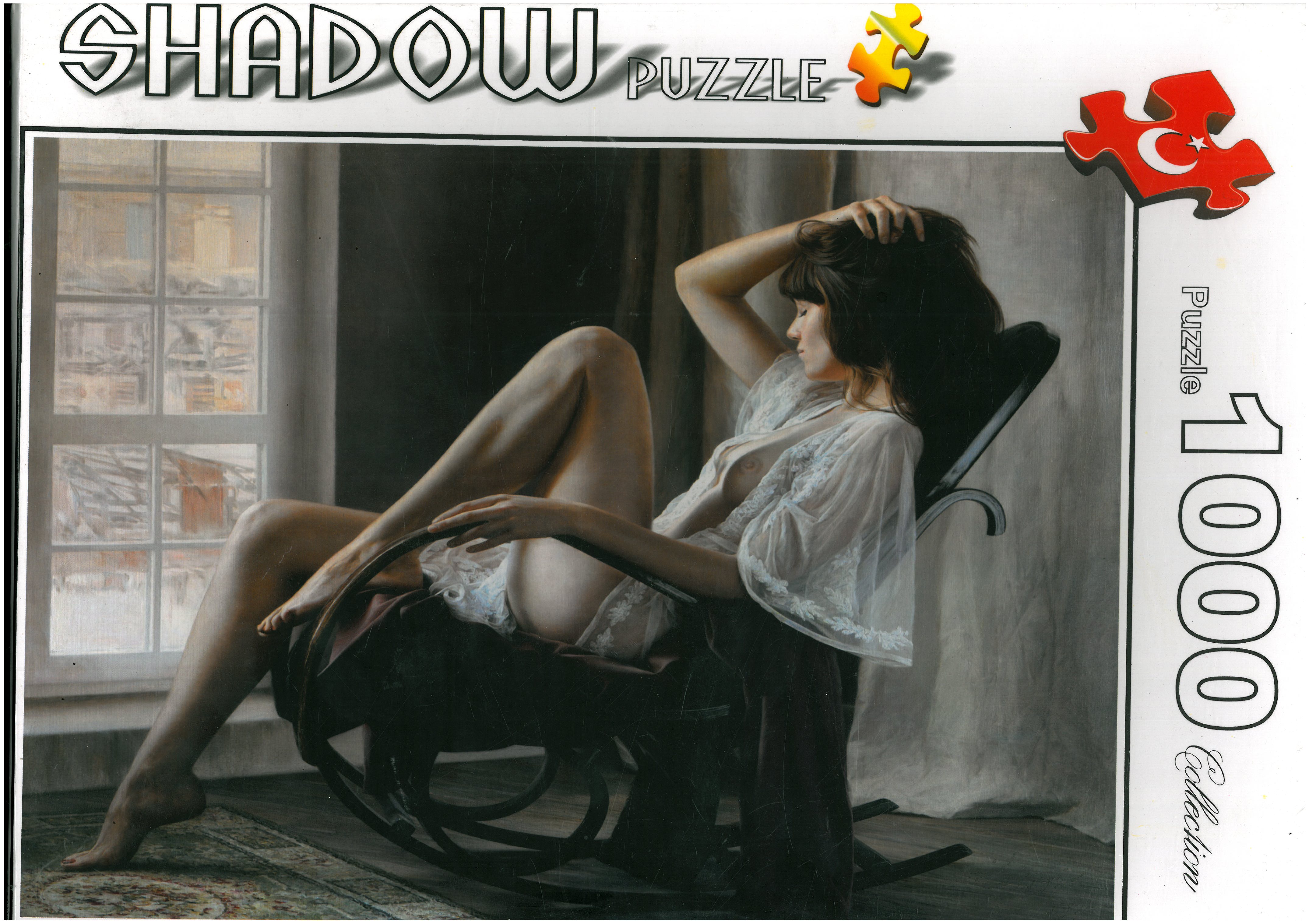 پازل شادوو 1000 قطعه طرح صندلی گهواره ای (دختر و صندلی)