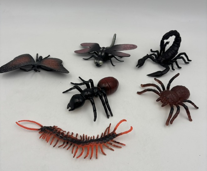 ست حشرات بزرگ 6عددی کد 107/5