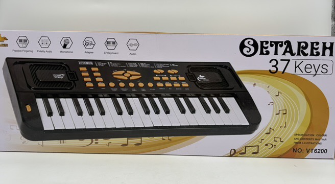 ارگ میکروفون دار 37 کلید بزرگ 6200