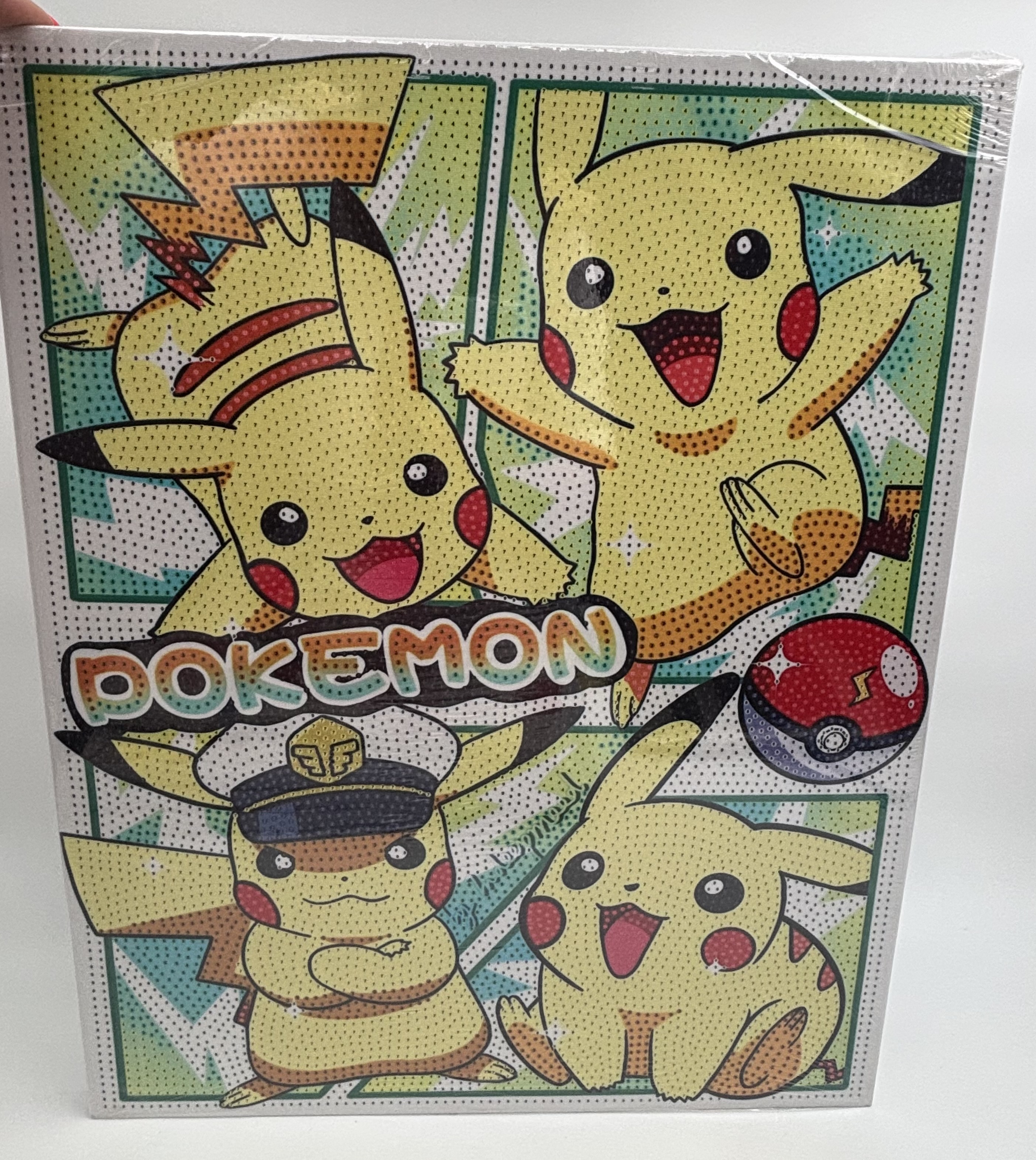 نقاشی الماسی بومی 40*50 طرح پوکمون